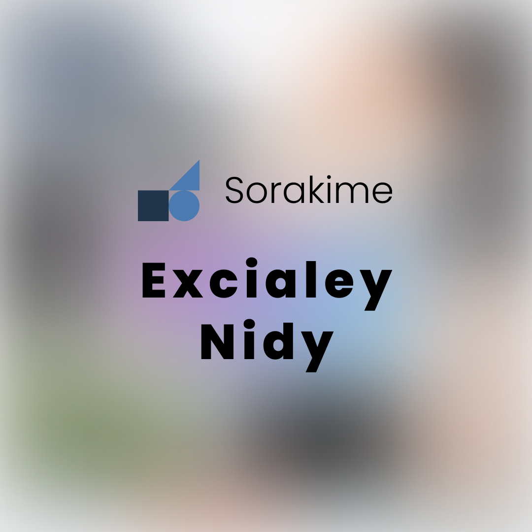 Artwork of Excialey Nidy